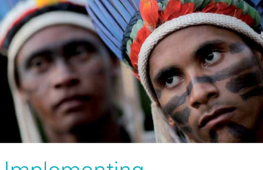 Protecting rights of indigenous peoples